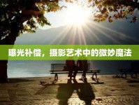 曝光補(bǔ)償，攝影藝術(shù)中的微妙魔法