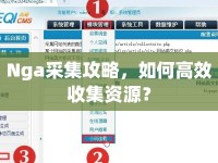 Nga采集攻略，如何高效收集資源？