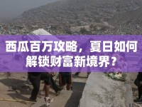 西瓜百萬(wàn)攻略，夏日如何解鎖財(cái)富新境界？