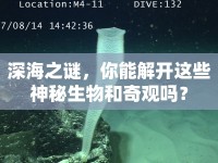 深海之謎，你能解開這些神秘生物和奇觀嗎？