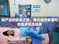 順產(chǎn)后的恢復(fù)之旅，兩天后仍需面對的血液流出挑戰(zhàn)