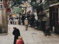 神武手游寵物125級后如何打造最強(qiáng)戰(zhàn)斗伙伴？