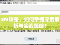 SM攻略，如何掌握深度解析與實(shí)戰(zhàn)策略？
