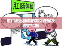 肛門(mén)流出鮮血的常見(jiàn)原因及應(yīng)對(duì)措施