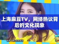 上海麻豆TV，網(wǎng)絡熱議背后的文化現(xiàn)象