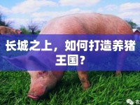 長城之上，如何打造養(yǎng)豬王國？