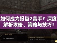 如何成為報(bào)復(fù)2高手？深度解析攻略、策略與技巧！