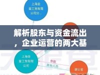 解析股東與資金流出，企業(yè)運營的兩大基石深度剖析