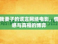 我妻子的謊言網(wǎng)絡電影，情感與真相的博弈