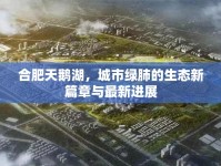 合肥天鵝湖，城市綠肺的生態(tài)新篇章與最新進展