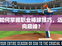 如何掌握職業(yè)棒球技巧，邁向巔峰？