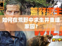如何在荒野中求生并重建家園？
