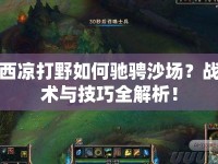 西涼打野如何馳騁沙場(chǎng)？戰(zhàn)術(shù)與技巧全解析！
