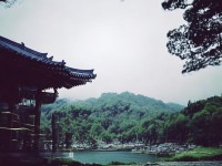 國(guó)產(chǎn)亞洲一的成功秘訣，創(chuàng)新與品質(zhì)如何做到行業(yè)領(lǐng)先？