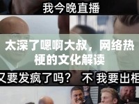 太深了嗯啊大叔，網(wǎng)絡(luò)熱梗的文化解讀
