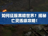 如何征服黑暗世界？揭秘亡靈練級攻略！