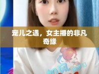 寵兒之遇，女主播的非凡奇緣