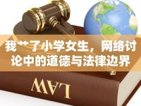 我艸了小學女生，網(wǎng)絡(luò)討論中的道德與法律邊界
