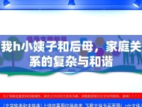 我h小姨子和后母，家庭關(guān)系的復(fù)雜與和諧