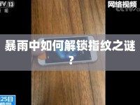 暴雨中如何解鎖指紋之謎？