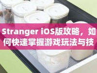 Stranger iOS版攻略，如何快速掌握游戲玩法與技巧？