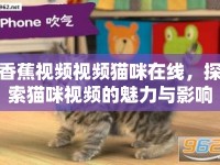 香蕉視頻視頻貓咪在線，探索貓咪視頻的魅力與影響