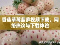香蕉草莓菠蘿視頻下載，網(wǎng)絡(luò)熱議與下載體驗