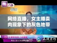 網(wǎng)絡(luò)直播，女主播賣肉現(xiàn)象下的灰色地帶與道德困境