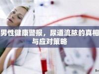 男性健康警報(bào)，尿道流膿的真相與應(yīng)對(duì)策略