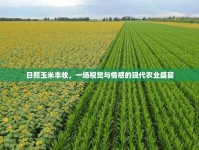 日照玉米豐收，一場(chǎng)視覺(jué)與情感的現(xiàn)代農(nóng)業(yè)盛宴