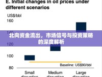 北向資金流出，市場(chǎng)信號(hào)與投資策略的深度解析