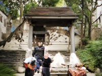 137VT巔峰之作：人文藝術A如何顛覆傳統(tǒng)，引領未來？