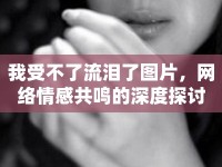 我受不了流淚了圖片，網(wǎng)絡(luò)情感共鳴的深度探討
