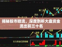 揭秘股市暗流，深度剖析大盤資金流出前三十名