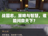 戰(zhàn)國志，策略與智慧，誰能問鼎天下？