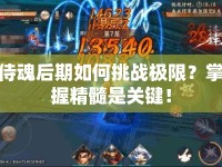 侍魂后期如何挑戰(zhàn)極限？掌握精髓是關(guān)鍵！