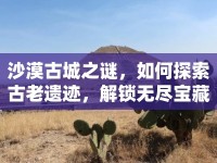 沙漠古城之謎，如何探索古老遺跡，解鎖無盡寶藏？