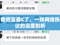 我把富婆C了，一場網(wǎng)絡(luò)熱議的深度剖析
