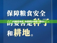 天涯論壇曝光，網(wǎng)絡(luò)輿論場中的一面鏡子