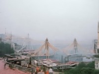 夢(mèng)幻手游中的大熊貓，如何成為萌動(dòng)江湖的靈動(dòng)使者？