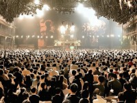 倩女手游家園靈獸，萌寵相伴，真的能帶來溫馨家園的奇妙之旅嗎？