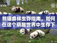熊貓森林生存指南，如何在這個萌趣世界中生存下來？