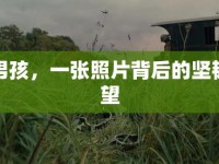 定西男孩，一張照片背后的堅韌與希望