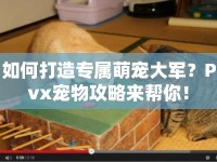 如何打造專屬萌寵大軍？Pvx寵物攻略來幫你！