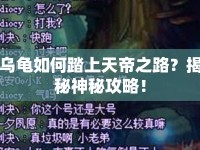 烏龜如何踏上天帝之路？揭秘神秘攻略！