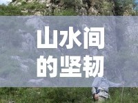 山水間的堅韌與美麗，河北徒步女主播的徒步之旅