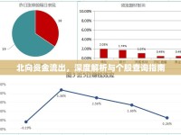北向資金流出，深度解析與個(gè)股查詢指南