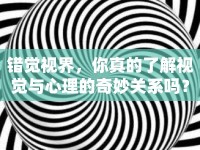 錯覺視界，你真的了解視覺與心理的奇妙關(guān)系嗎？