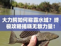 大力鱷如何稱霸水域？終極攻略揭曉無敵力量！