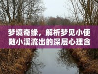 夢(mèng)境奇緣，解析夢(mèng)見(jiàn)小便隨小溪流出的深層心理含義